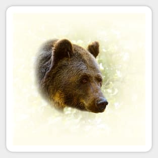 Brown bear Sticker